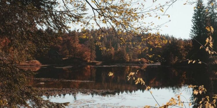 Duge šetnje duž Kolubare: beg u prirodu