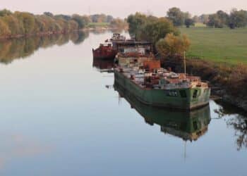 Vikend u Sremskoj Mitrovici: Istorija, priroda i gastronomski užitak