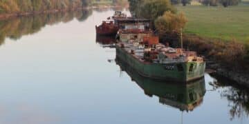 Vikend u Sremskoj Mitrovici: Istorija, priroda i gastronomski užitak