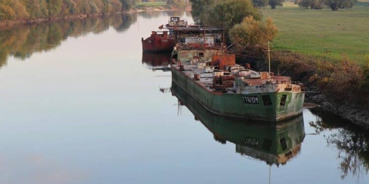 Vikend u Sremskoj Mitrovici: Istorija, priroda i gastronomski užitak