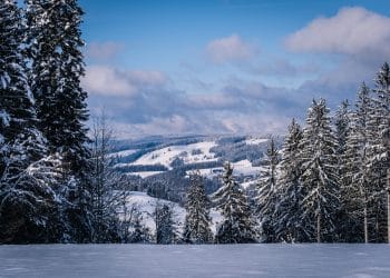 Odmor na Goliji: savršen izbor za celu porodicu
