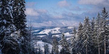 Odmor na Goliji: savršen izbor za celu porodicu