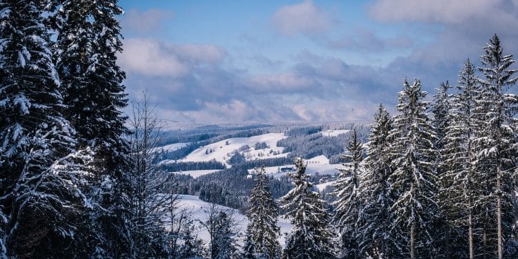 Odmor na Goliji: savršen izbor za celu porodicu