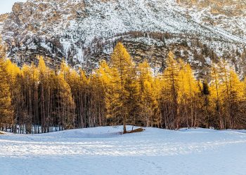 Odmor na Goliji: savršen izbor za celu porodicu