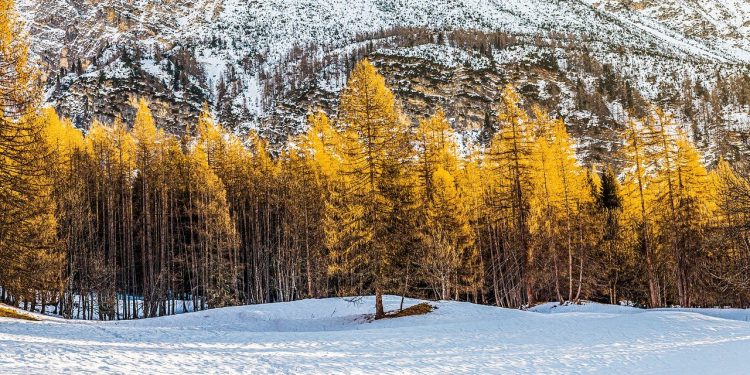 Odmor na Goliji: savršen izbor za celu porodicu
