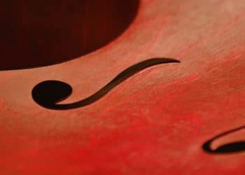 Beogradski čelo fest: praznik umetnosti violončela od 23. do 30. novembra 2024. godine