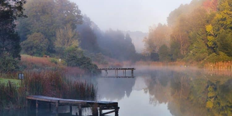 Najmanje jezero Fruške gore: Čarolija Kapavice