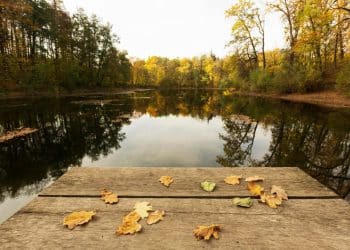 Najmanje jezero Fruške gore: Čarolija Kapavice