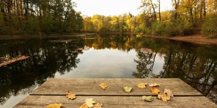 Najmanje jezero Fruške gore: Čarolija Kapavice