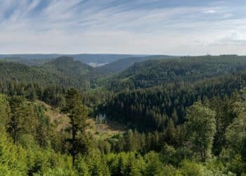 Putovanje kroz vreme: Priče planine Vujan