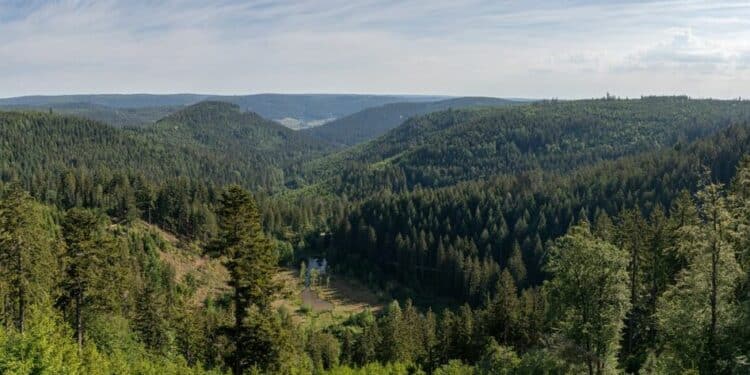 Putovanje kroz vreme: Priče planine Vujan