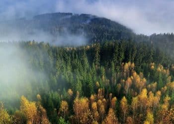 Planina Ožalj: gde četinarske šume susreću bele stene