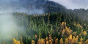 Planina Ožalj: gde četinarske šume susreću bele stene