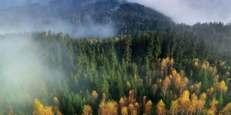 Planina Ožalj: gde četinarske šume susreću bele stene