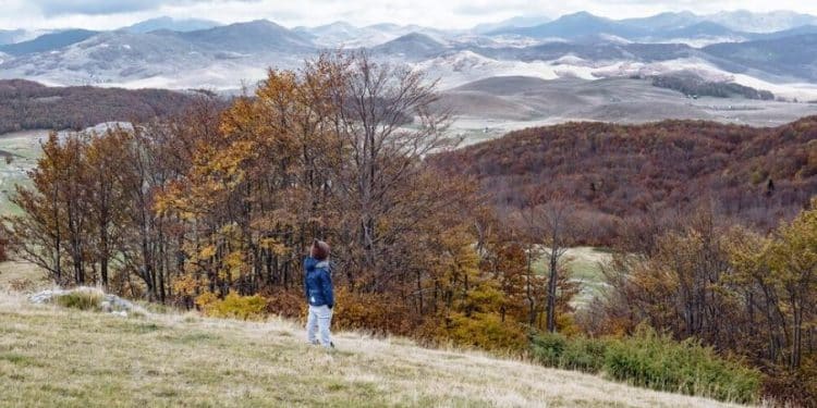 Planina Ožalj: gde četinarske šume susreću bele stene