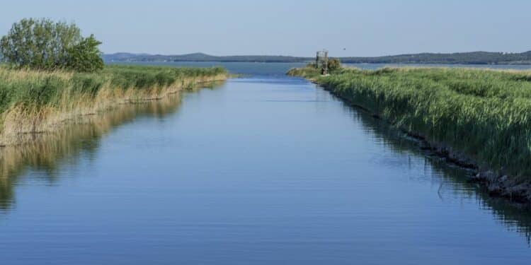 Upoznajte Begej: Reku koja spaja istoriju i prirodu