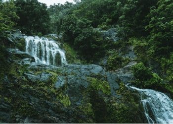 Put do vodopada Kopren – avantura kroz divlju lepotu Stare planine