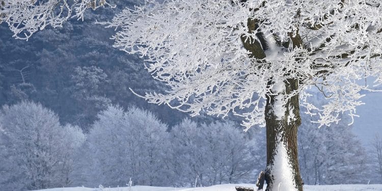 Odmor na Goliji: savršen izbor za celu porodicu