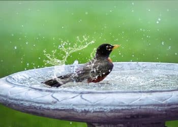 Izložba „Prostor grada – prostor prirode“: dijalog prošlosti i budućnosti