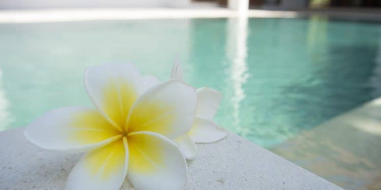 Odmor uz lekovite izvore Niške Banje