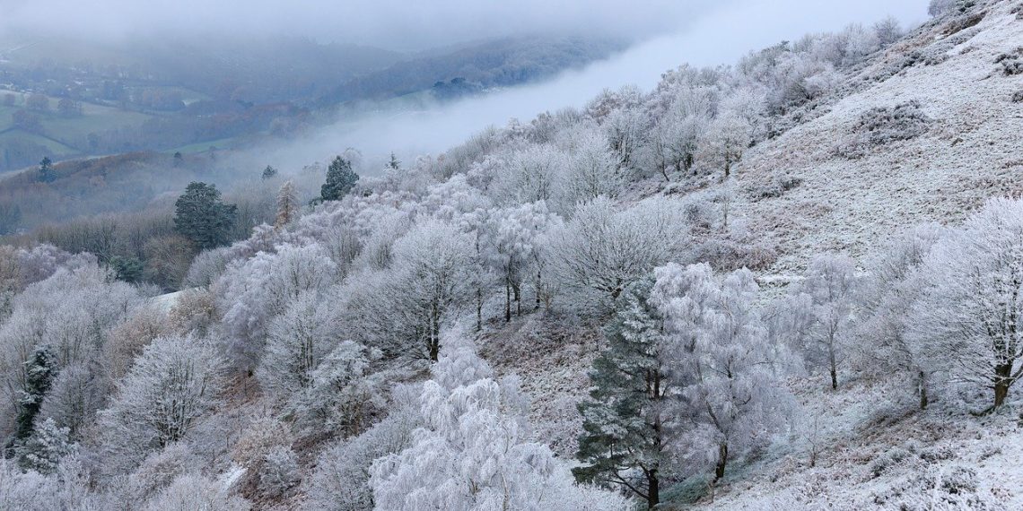 Otkrijte lepotu Jelove Gore pod snežnim pokrivačem