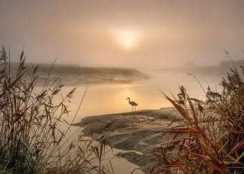 Avantura uz meandre Južne Morave