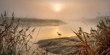 Avantura uz meandre Južne Morave