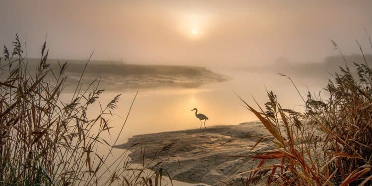 Avantura uz meandre Južne Morave