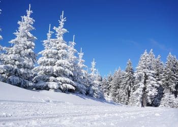 Otkrijte lepotu Jelove Gore pod snežnim pokrivačem