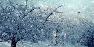 Suvobor zimi: prirodni raj nadomak Beograda