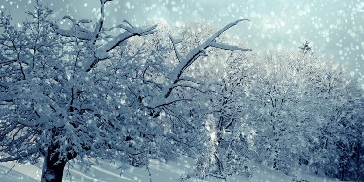 Suvobor zimi: prirodni raj nadomak Beograda