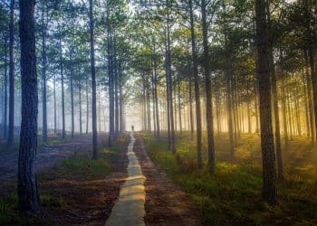 E-CrossPass: Pešačke staze koje povezuju ljude i prirodu