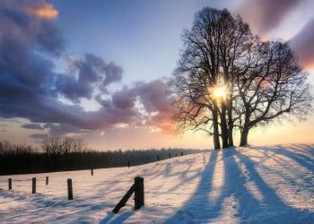 Suvobor zimi: prirodni raj nadomak Beograda