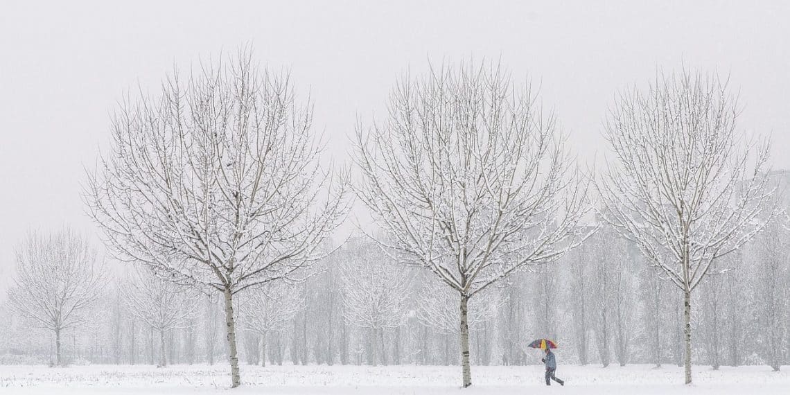 „Winter Trail Race“ – trka kroz snežne pejzaže Fruške gore