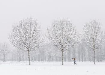 „Winter Trail Race“ – trka kroz snežne pejzaže Fruške gore