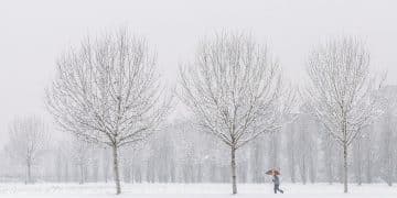 „Winter Trail Race“ – trka kroz snežne pejzaže Fruške gore