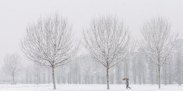 „Winter Trail Race“ – trka kroz snežne pejzaže Fruške gore