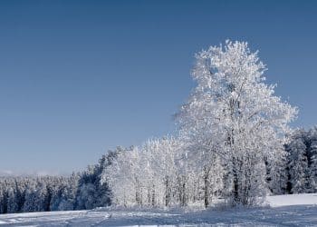 Radočelo: Planina radosti i netaknute prirode