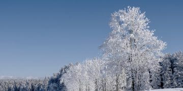 Radočelo: Planina radosti i netaknute prirode