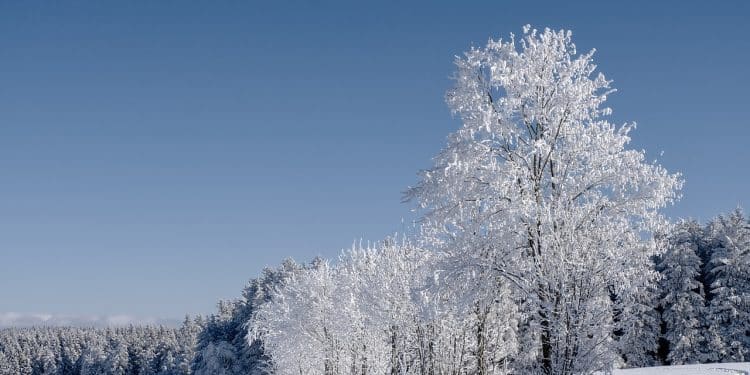 Radočelo: Planina radosti i netaknute prirode
