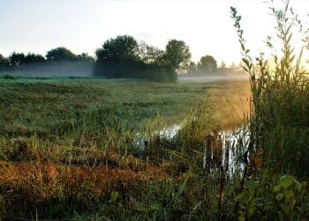 Uronite u tišinu i lepotu Carske bare