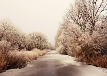 Vlasina – žubor koji spaja prirodu i čoveka