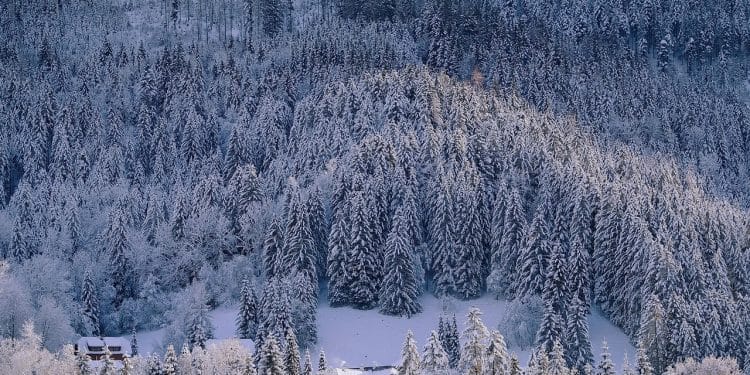 Mir i zimska lepota Gostilja na dohvat ruke