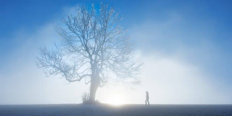 Planinski mir i avanture u srcu Zapadne Srbije