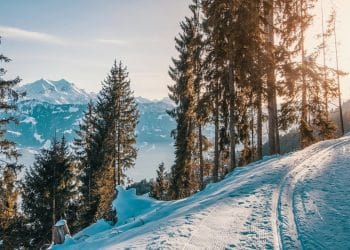 Planina Jastrebac: zimske staze za sve generacije
