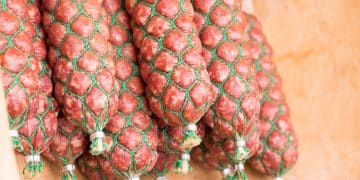 Miris tradicije na obalama Tise: Sutra počinje Klobasafest 2025