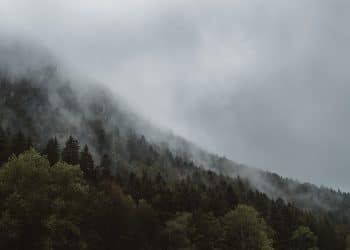 Staze Kablar planine u proleće – izazov za avanturiste i rekreativce