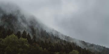 Staze Kablar planine u proleće – izazov za avanturiste i rekreativce