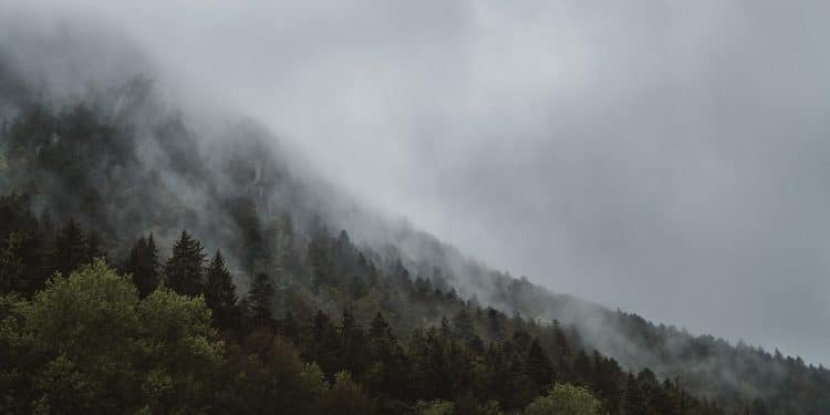 Staze Kablar planine u proleće – izazov za avanturiste i rekreativce