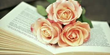 Sajam knjiga i umetnosti u Novom Sadu – mesto gde kultura živi